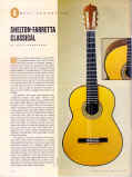 Acoustic Guitar.jpg (113805 bytes)